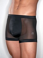 Fitted boxer shorts in sheer mesh