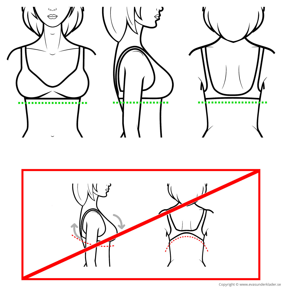 How the bra band should fit (upper image row) and not fit  (lower image row) on your body.