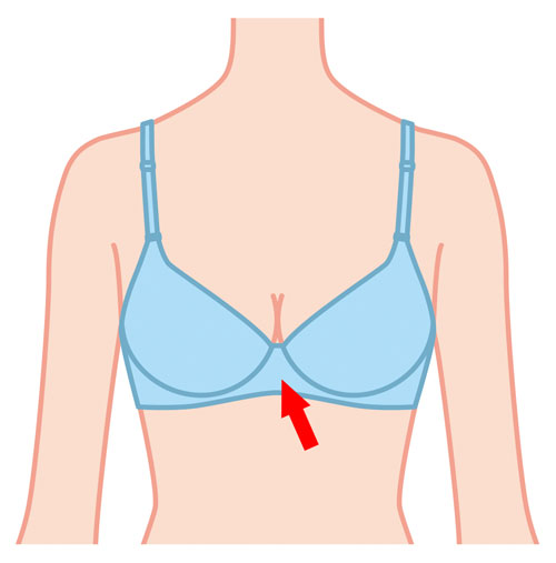 The bra bridge is the middle part of the bra, between the cups.
