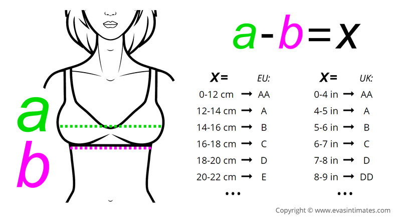 Calculation of the bra cup. Measurement around bust minus measurement below bust.