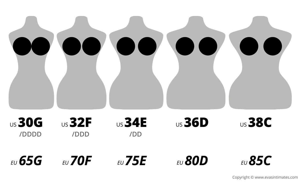 Bra cup sizes and their actual volume