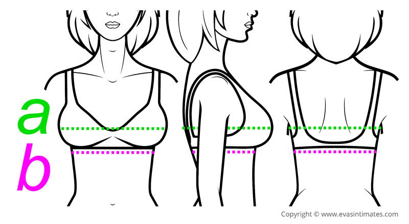 Above bust and below bust measurements