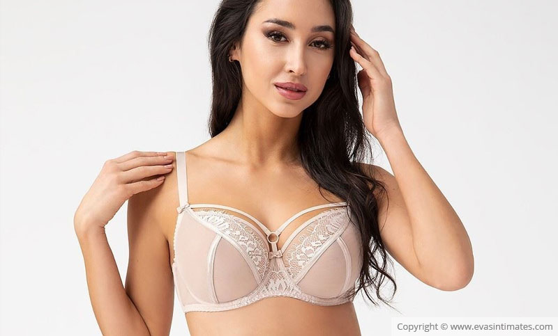 https://www.evasintimates.com/Content/images/blog/how-to-put-on-a-bra---100-27-cover.jpg