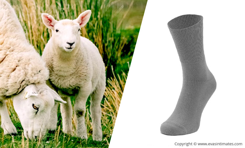 The benefits of lambswool socks
