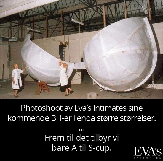 Photoshoot av Eva’s Intimates sine kommende BH-er i enda større størrelser. Frem til det tilbyr vi bare A til S-cup. 