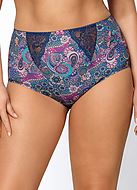 Maxi briefs, lace inlays, intricate pattern