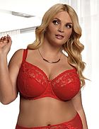 Full cup bra, beautiful lace, partially sheer cups, B to N-cup